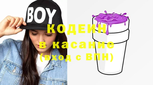 гашик Алексеевка